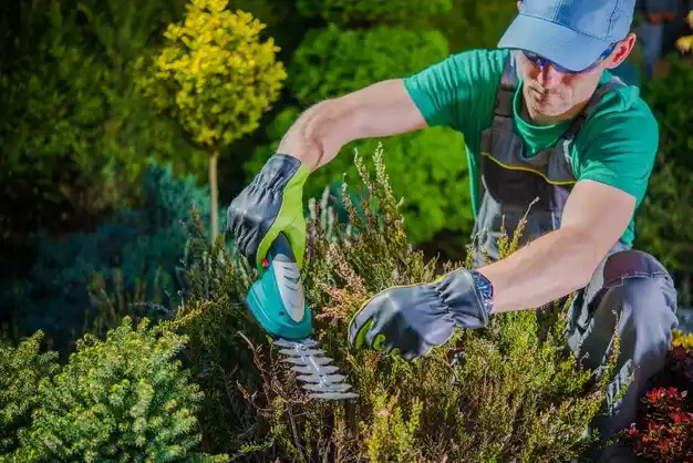 landscaping services Adams Center